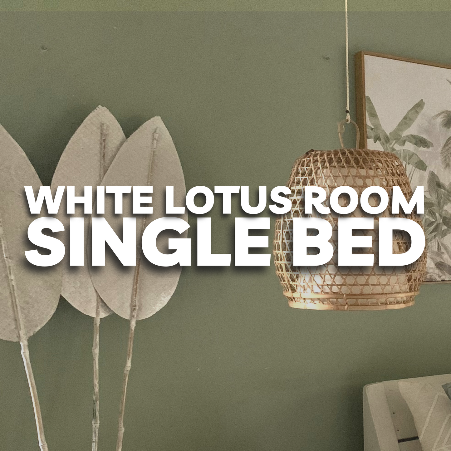 White Lotus Room | Single Bed