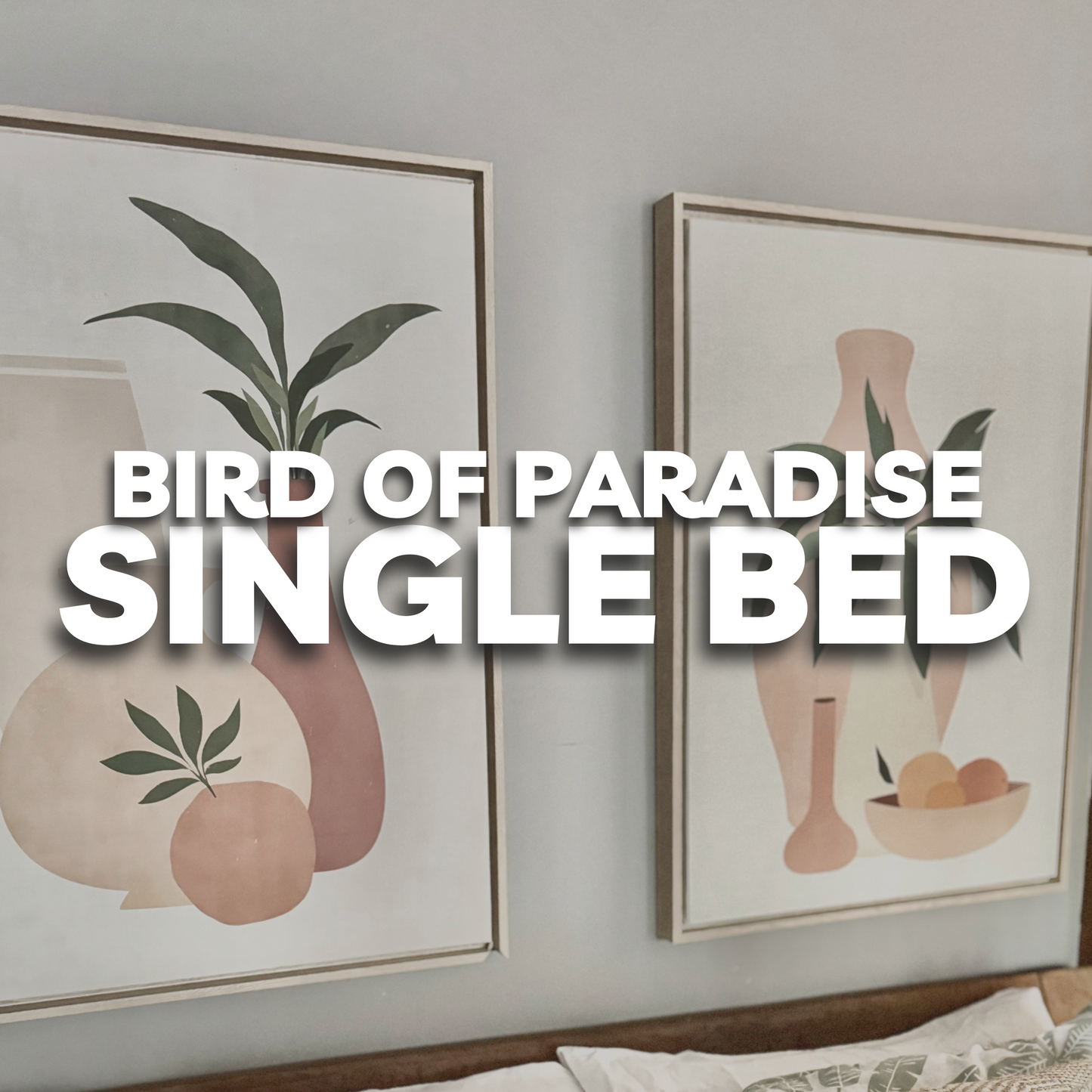 Bird of Paradise Room | Single Bed